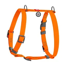 Шлея для собак WAUDOG Waterproof Н-образная анатомическая XL оранжевая (32454) - миниатюра 2