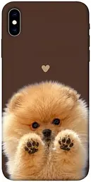 TPU чохол Demsky Spitz on the screen для Apple iPhone X (5.8")