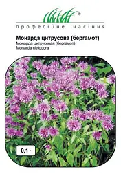 Насіння Монарди Цитрусової - Бергамота 0.1 г Професійне насіння