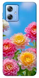 Чохол Demsky Summer day для Motorola Moto G84