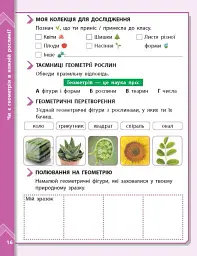 STEM-Старт. Наука про Землю і космос. Земля. Космос. Геометрія. Зошит проєктів. 1-4 класи - Ірина Потапенко - мініатюра 5