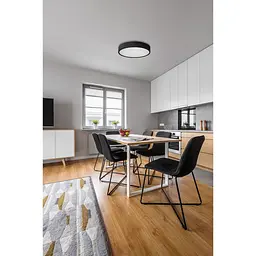 Світильник стельовий Kanlux Jasmin 270-B (29207) - мініатюра 7