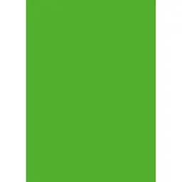 Папір для дизайну Folia Tintedpaper А4 (21x29.7см) №55 темно-салатовий 130г/м2 без текстури