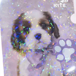 Папка - куточок Kite із клапаном A4 Rachael Hale (R25-248) - миниатюра 4
