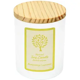 Свічка Aurora Natural Soy Candle апельсин та кориця 150 г