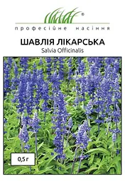 Насіння Шавлії Лікарської 0.5 г Професійне насіння