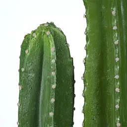 Штучна рослина Engard Cactus 155 cм (TW-40) - мініатюра 3