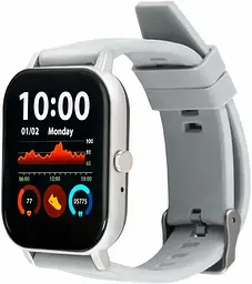 Смарт-часы Amico GO FUN Pulseoximeter and Tonometer gray (UA UCRF)