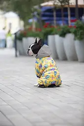 Комбінезон для собак Waudog Clothes, Рік та Морті 3, L50 - мініатюра 4