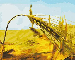 Картина за номерами на підрамнику Brushme Житній колос