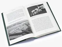 The Viking Great Army and the Making of England - мініатюра 6
