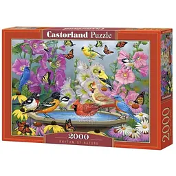 Пазл Castorland Ритм природи 2000 ел. (C-200818)