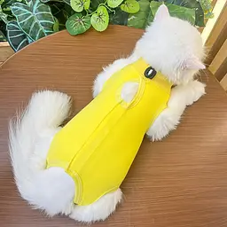 Одяг для котів після операції Holley Yellow M - мініатюра 2
