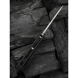 Ніж складаний Weknife Tyro WE24001-DS1 - мініатюра 19