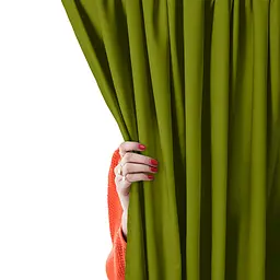 Штори на кухню та в кімнату 180х260 GRASS 2шт COSAS (4822052275108)