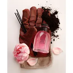 Аромат для простору Sister's Aroma Peony & Home Garden 140 мл - мініатюра 3
