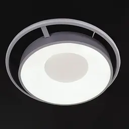 Світильник настінно-стельовий Brille WBL-44C/67W - мініатюра 5