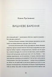 Я не знаю, як про це писати. Збірка оповідань та есеїв - мініатюра 17