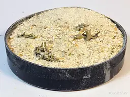 Корм для лісових равликів - хеликсов, ланцюгів, караколусов та ін. Snail тм "Буся"  - пакет 50 г - мініатюра 4
