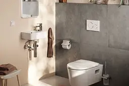 Сифон для умивальника Hansgrohe Flowstar S chrome 52105000 - мініатюра 2