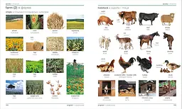 Visual Bilingual Dictionary: Ukrainian-English - мініатюра 4