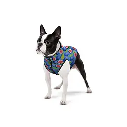 Курточка для собак Waudog Clothes Інжир XS30 - мініатюра 3
