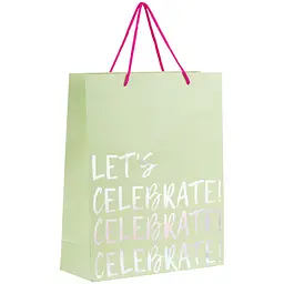 Набір подарункових пакетів Axent Let's celebrate паперові 26х32 см 5 шт. (8502-26-A)