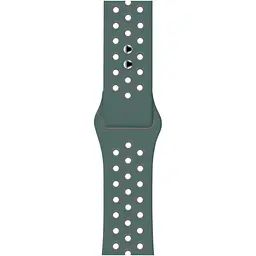 Ремінець Sport Nike для Apple Watch 38/40/41mm Gray/Green [103386]