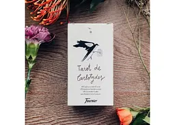 Карти Таро Fournier Карлотиди (Tarot de Carlotydes) (ВР_КТК) - мініатюра 3