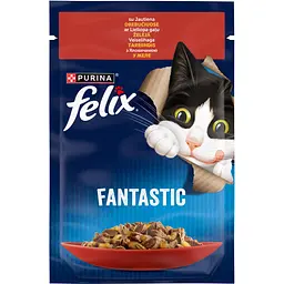 volohyi-korm-dlia-kotiv-felix-fantastic-z-yalovychynoiu-85-h