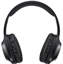 Гарнітура Panasonic RB-HX220BEE-K (RB-HX220BEEK)