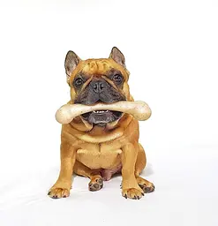 Жувальна кістка для собак Pet Qwerks Real Bacon Infused BarkBone з ароматом бекону - мініатюра 6