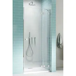 Душові двері Radaway Essenza Pro DWJ 120 см 10099120-01-01R