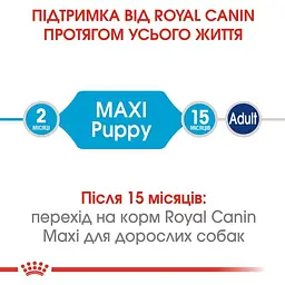 Сухий корм для цуценят собак великих порід Royal Canin Maxi Puppy, 1 кг (30060101) - мініатюра 7