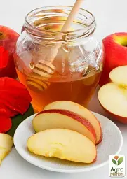 Саджанець Agro-Market Яблуня Роял Ред Делішес (зимовий сорт, пізній термін дозрівання) 1 шт. в упаковці (40027) - мініатюра 2