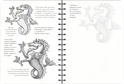 Скетчбук ОКО Sketch Book Скетчбук Малюємо фантастичних істот експрес курс O SB RFS - мініатюра 4