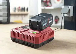 Набір акумулятора та зарядного пристрою 3111 AA 20В Skil hoz0014257 - мініатюра 3