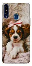 TPU чохол Demsky Sleepy spaniel для Samsung Galaxy A20s