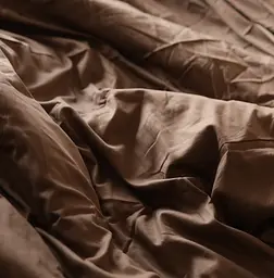 Комплект постільної білизни 100% бавовна коричневий Chocolate - двоспальний  - мініатюра 2