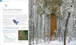 Natural Wonders of the World - - мініатюра 2