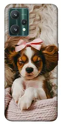 TPU чохол Demsky Sleepy spaniel для Realme 9 Pro
