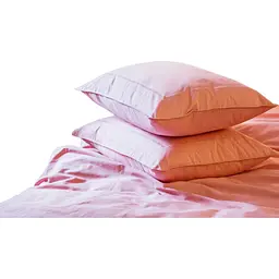 Комплект постільної білизни Ecotton Premium Brindal Rose євро сатин вишивка з кантом рожевий (25115)