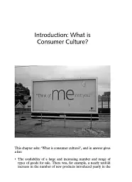 Consumer Culture (2nd Edition) - мініатюра 4