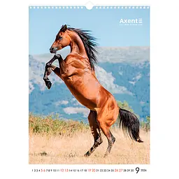 Календар настінний Axent А3 Horses 2026 рік (8804-26-3-A) - мініатюра 10