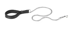 Повідець для собак Ferplast Daytona Chrome GM25/100 М чорний 100 cм 75336017