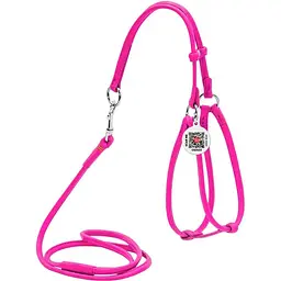 Шлея з повідцем для собак Waudog Glamour, шкіряна, кругла, з QR паспортом, 42-60х46-64х0,6/105 см, рожевий (34027)