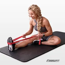 Гумові петлі EasyFit: набір 1-31 кг (3 шт) - мініатюра 5