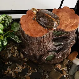 Декоративний фільтр-водоспад Repti-Zoo Turtle Filter Tree (GLB10) у формі кореня для амфібій і тераріумів до 70 літрів - мініатюра 3