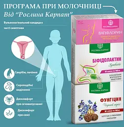 Програма при кандидозному кольпіті (молочниці) Фітосвічки Вагіфлорин, Фунгіцин, Біфідолактин symbiotic, "Рослина Карпат" - мініатюра 8