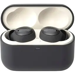 Навушники Final Audio TWS ZE500 for ASMR DARK GRAY (90404076) - мініатюра 2